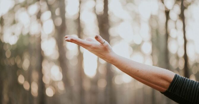 The Importance of Spinal Health for Overall Wellness